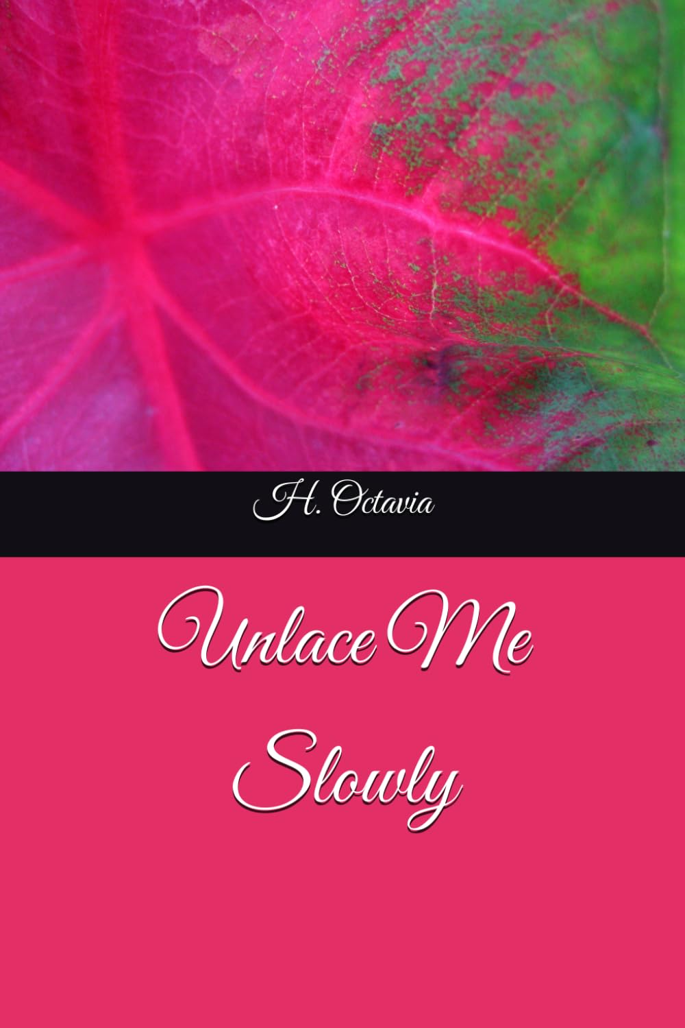 Unlace Me Slowly: 2 (The Undoing Trilogy)