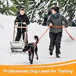 Vivifying Une laisse pour chien imperméable, 6FT Durable PVC Lead d'entraînement avec poignée rembourrée Great pour les petits chiens de taille moyenne Entraînement, marche, plage et lac (Orange)