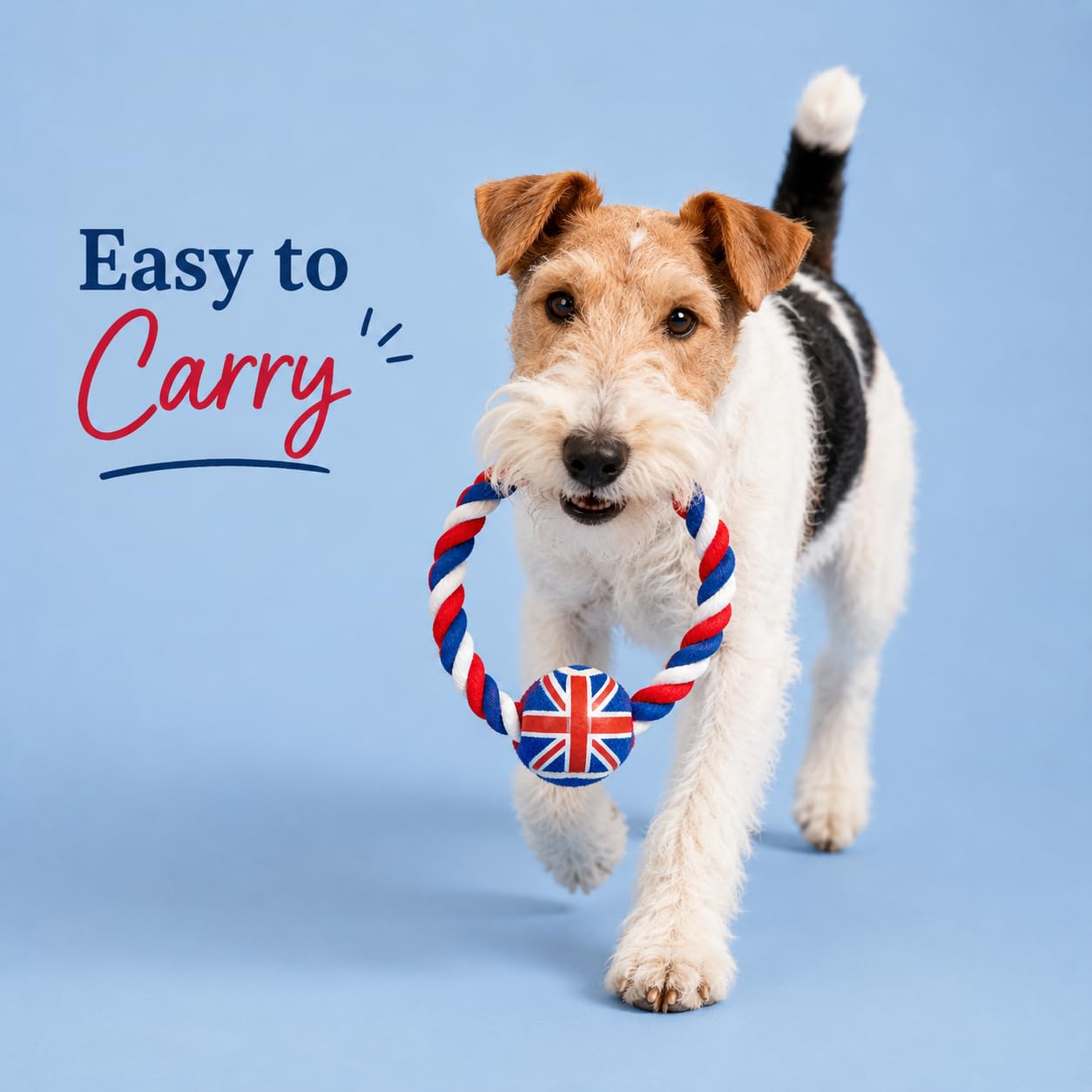 Pet London British Union Jack Lina pierścień i piłka tenisowa zabawka dla psa - angielskie kolory UK dla psów
