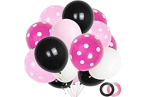Precious Minnie Mouse Birthday Party Supplies | Black Pink Minnie Polka Dot...