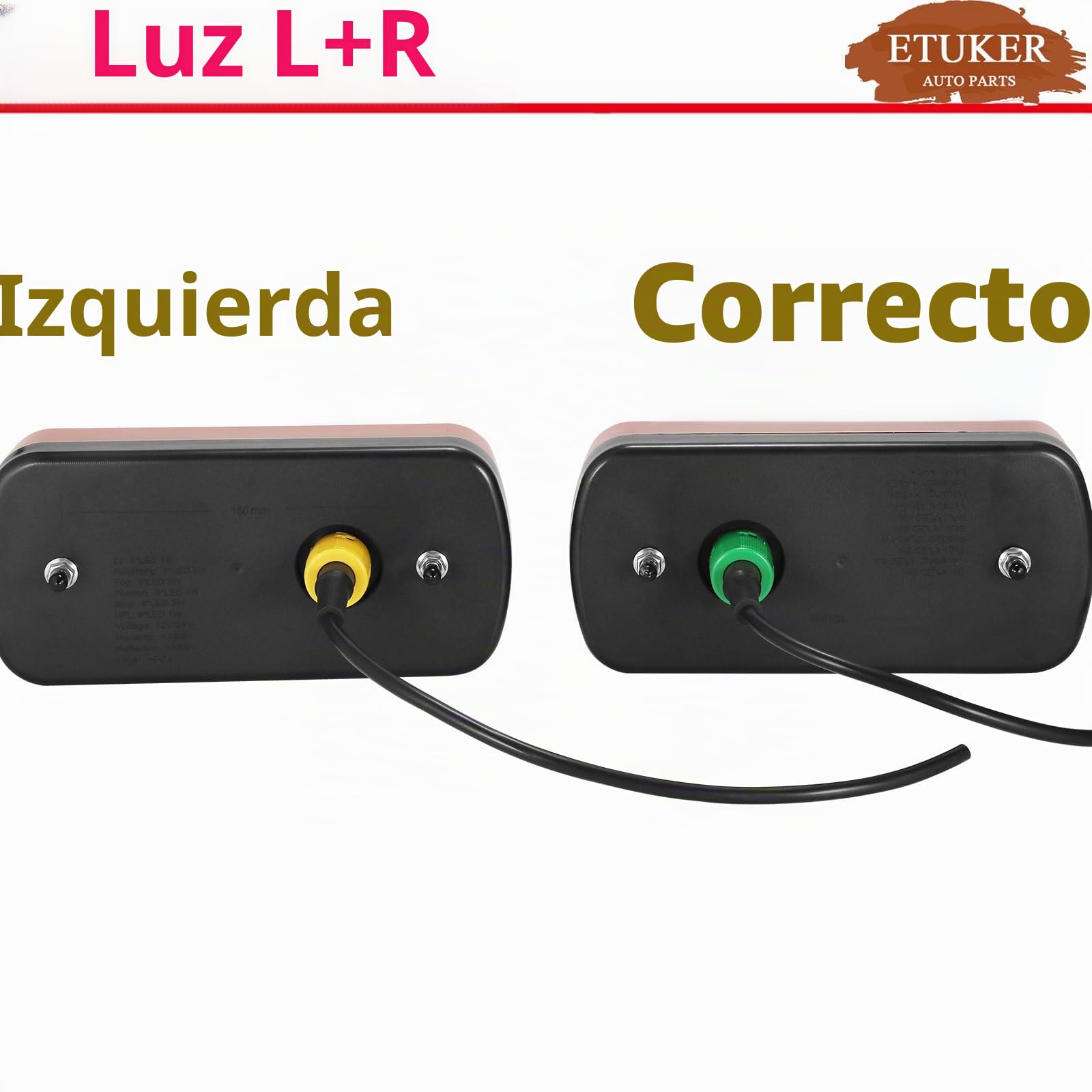 Pilotos Traseros Remolque LED 12/24V Homologados 7Funcione Luz Antiniebla/Piloto Marcha Atrás/Luces de Matrícula