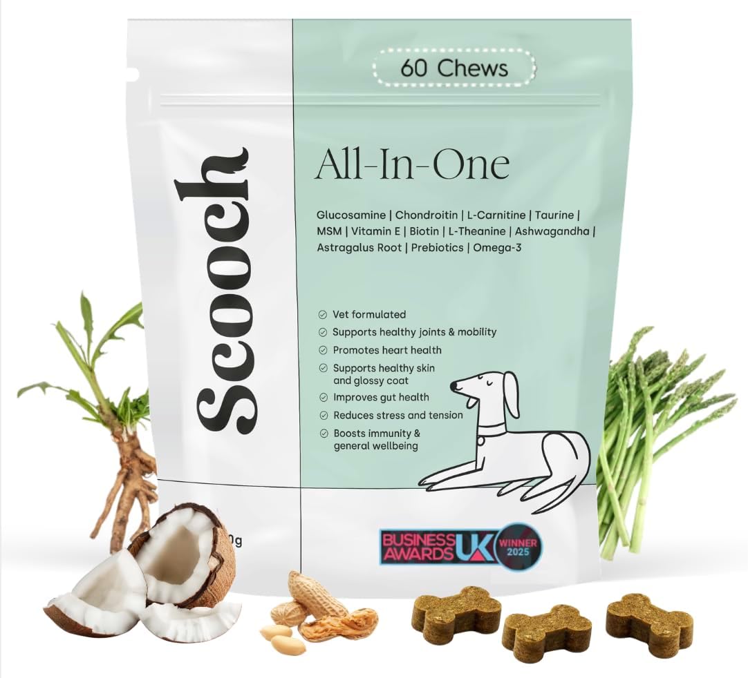 Scooch All-In-One Dog Supplement โ Vet Formulated 6-in-1 Daily Support for Skin, Joints, Digestion, Immunity, Brain & Heart | Glucosamine, DHA, Turmeric & Taurine | Peanut Butter & Coconut, 60 Chews