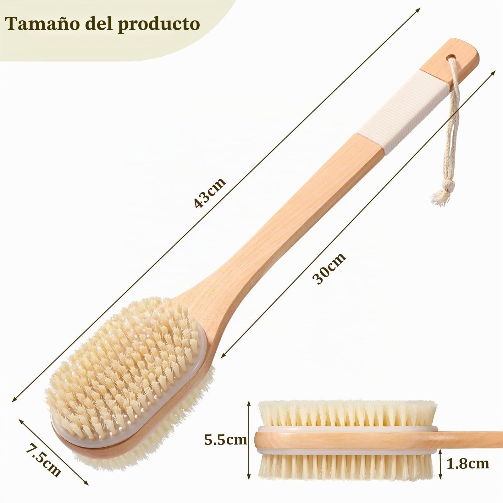 Blendura Cepillo Espalda Ducha, 43 cm Cepillo Exfoliante Corporal Cepillo Ducha Doble Cara con Cerdas Rígidas y Suaves con Mango Largo