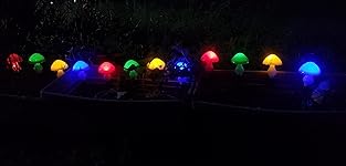 Review Image by Rena Rena