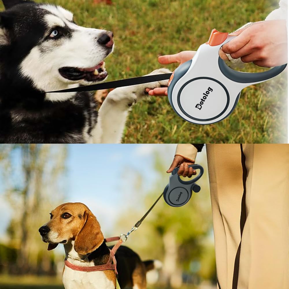 Laisse Chien Rétractable 8 m, Extensible Laisse pour Chiens de Taille Moyenne et Grande (Jusqu'à 50kg), Anti-nœuds, Bande en 26ft Nylon Solide (Blanc,8m)