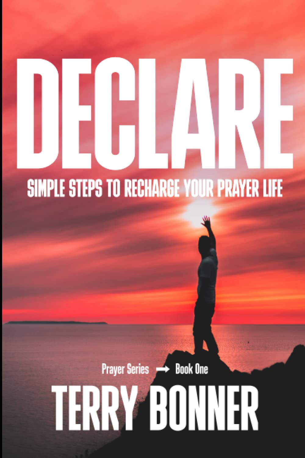 Declare: The Secret to Submerging Into God's Presence
