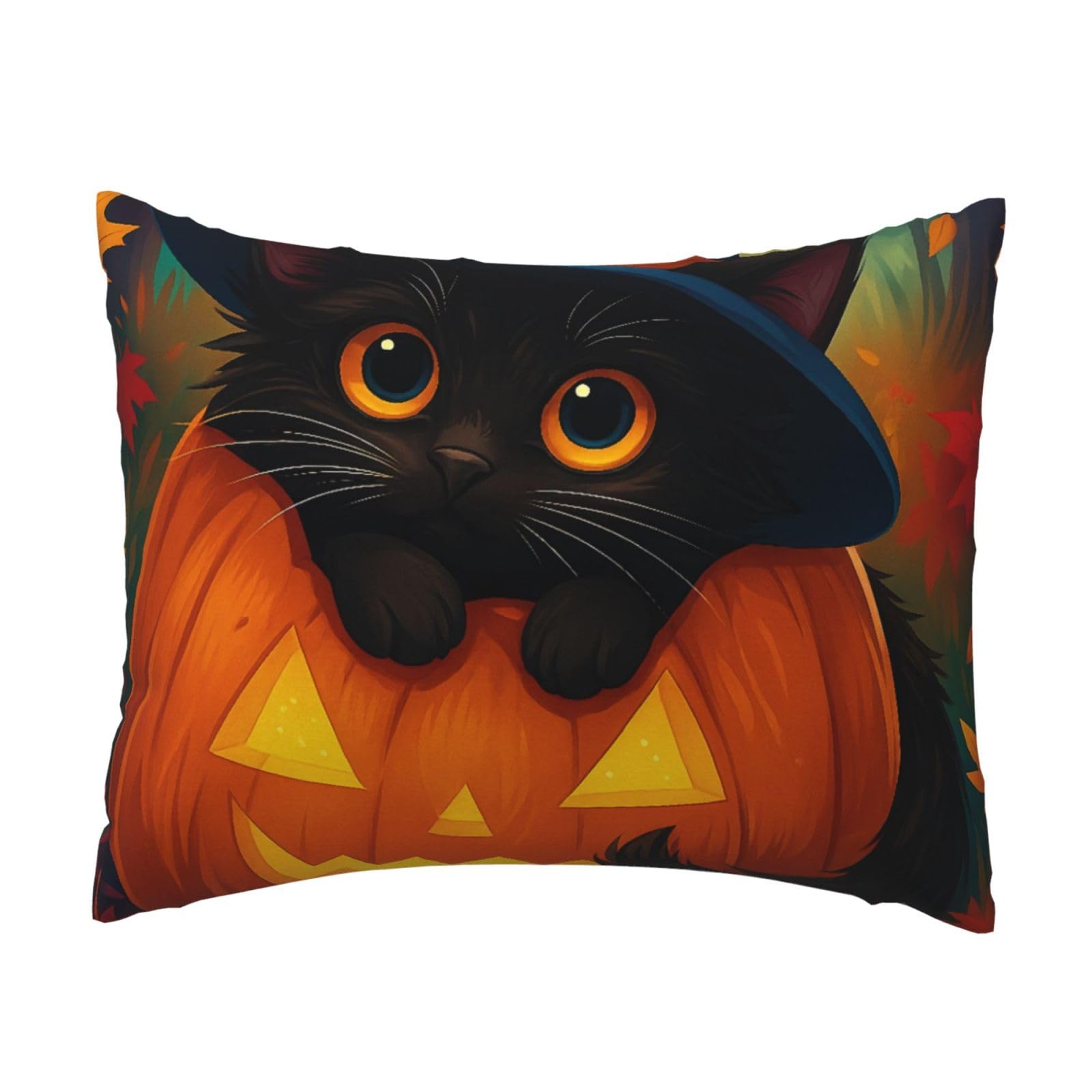 Pumpkin & Black Cat Halloween in Autumn Pillowcase Soft Plush with Zipper Decorative Pillowcovers 16x20 in