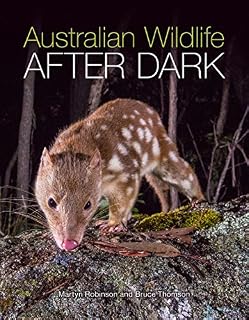 Australian Wildlife After Dark