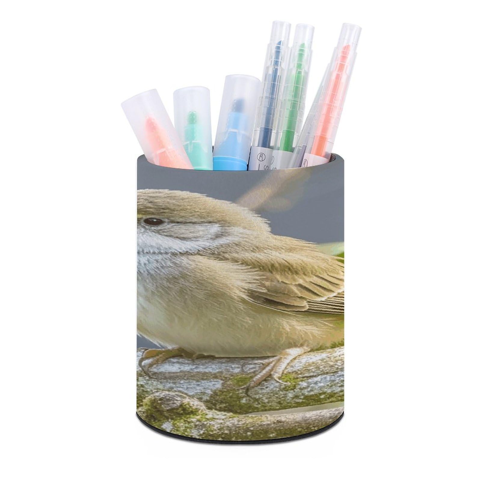 VstaDank Kiwi Birds Cute Pen Holder for Desk Makeup Brush Holders Stylish Pen Cup Cute Pencil Cup Round Pencil Holder Decor Brush Scissor Holders for Multifunctional Office Supplies