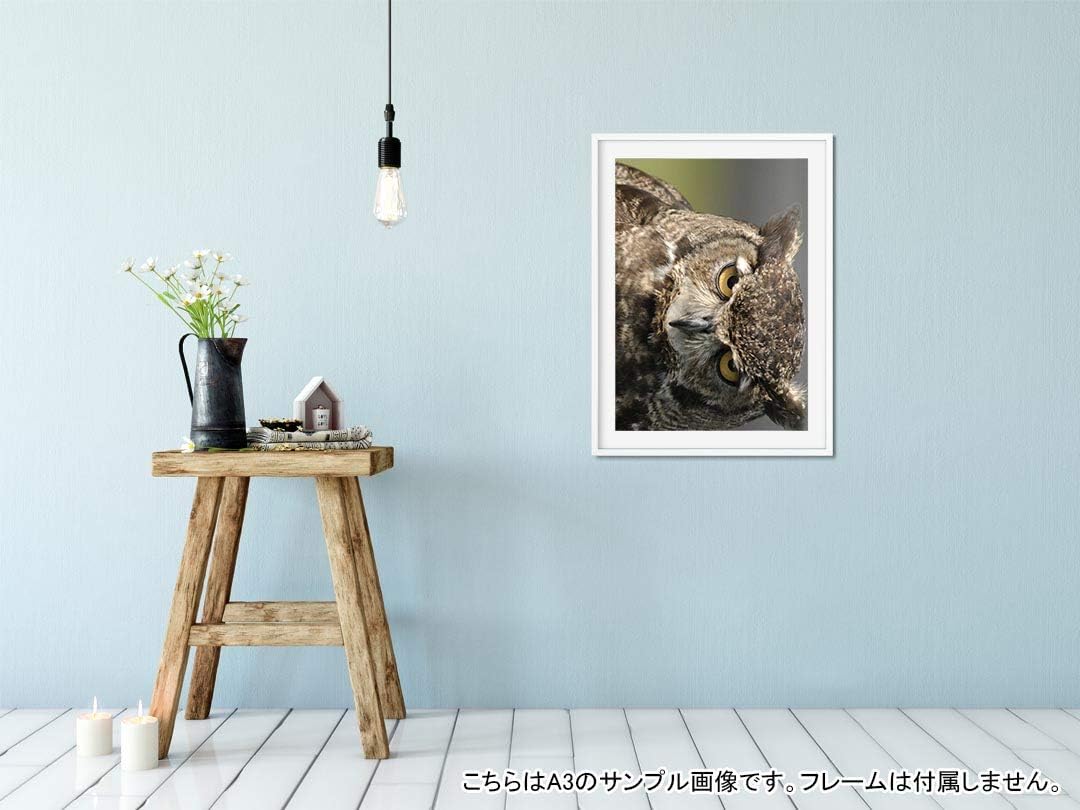 igsticker ポスター ウォールステッカー シール式ステッカー 飾り 1030&times;1456㎜ B0 写真 フォト 壁 インテリア