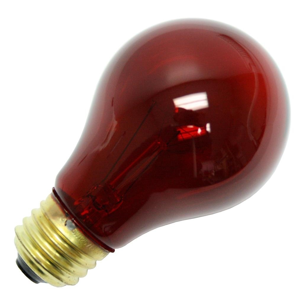 Bulb Lt 25w Red 1/Bx - Incandescent Bulbs - Amazon.com