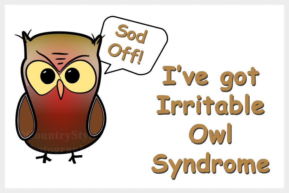 Funny Owl Fridge Magnet Gift - Irritable Owl Syndrome. Ideal Birthday Gift for owl Lover.