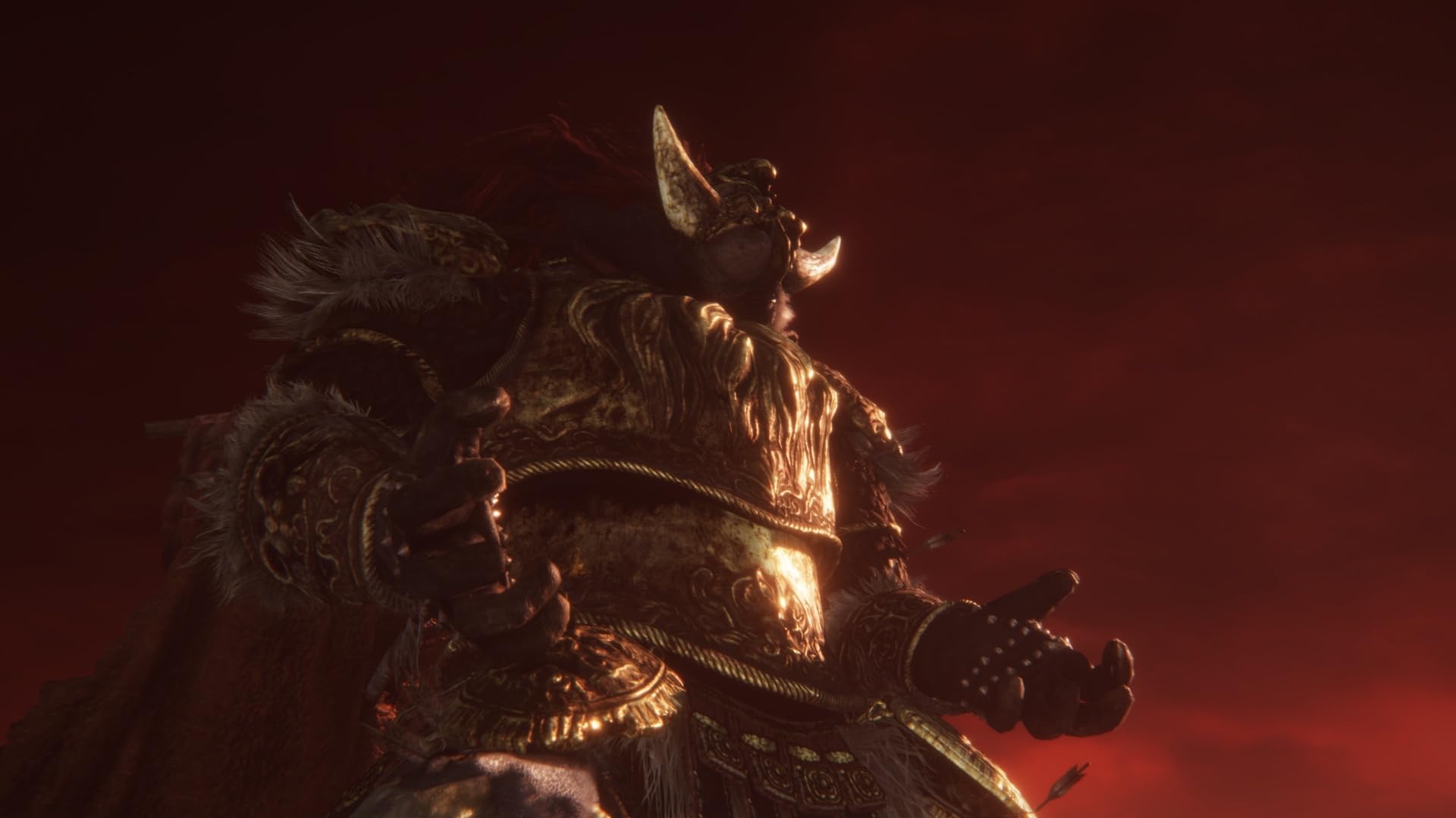 ELDEN RING TARNISHED EDITION NSW2