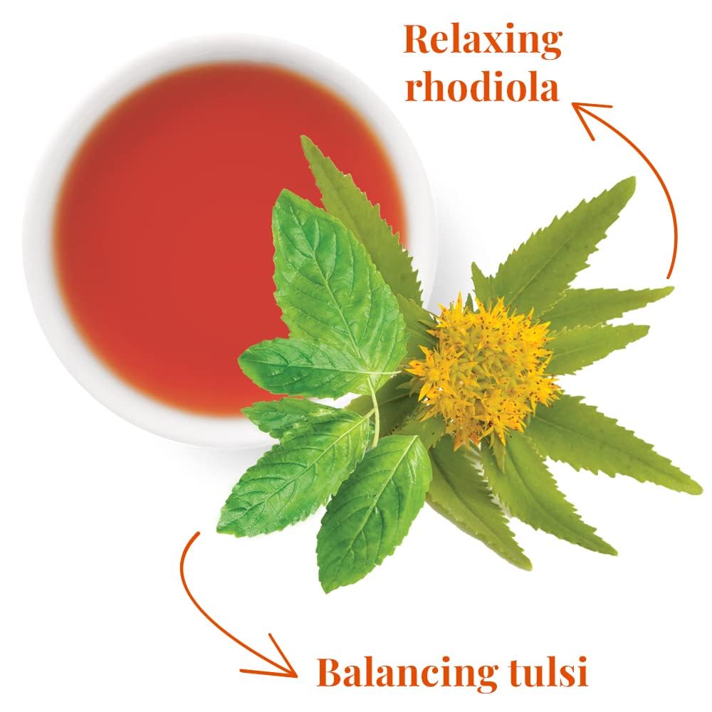 The Republic of Tea - SuperAdapt Stress Suppress Herbal Tea, 250 Tea Bags, Organic, Caffeine Free, Tulsi and Rhodiola Herbal Tea