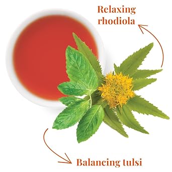 The Republic of Tea - SuperAdapt Stress Suppress Herbal Tea, 250 Tea Bags, Organic, Caffeine Free, Tulsi and Rhodiola Herbal Tea