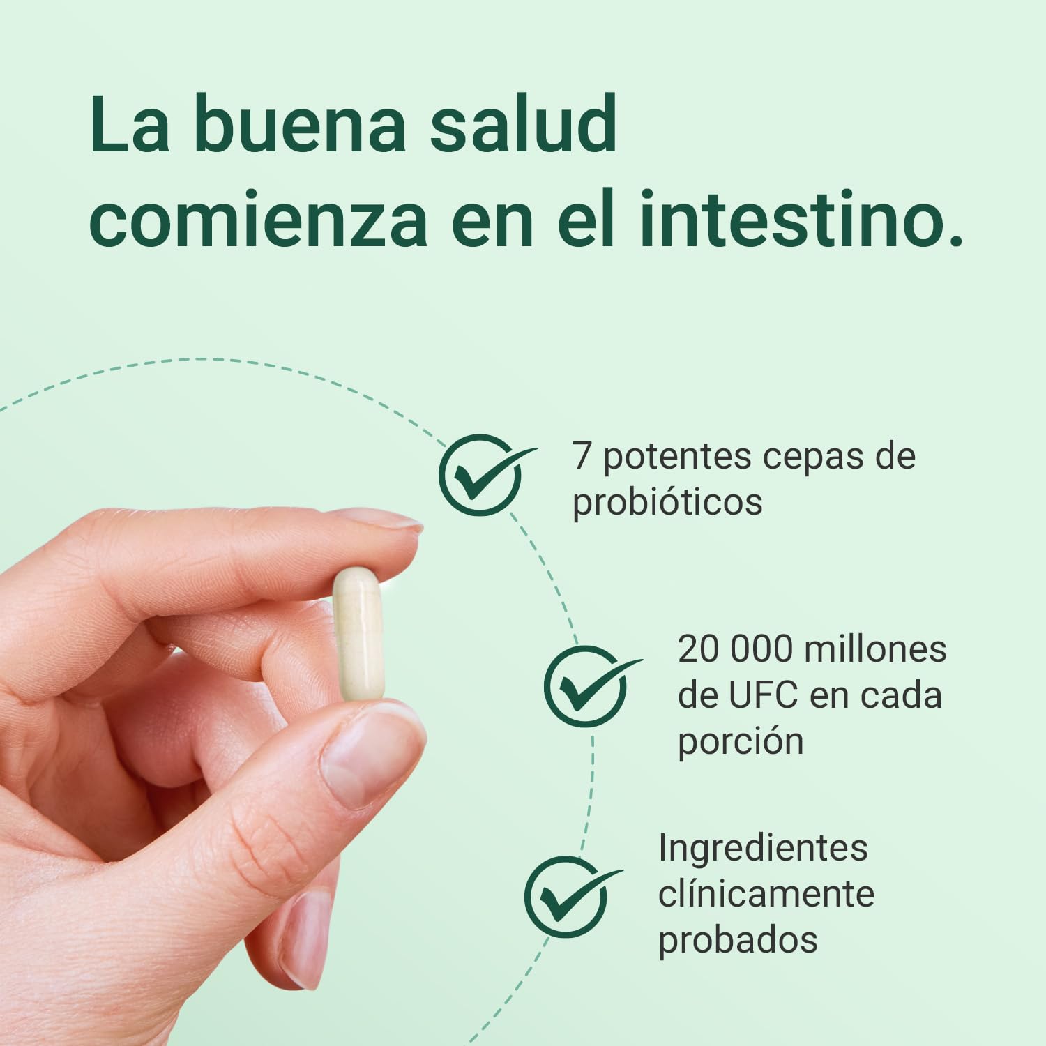Suplemento complejo probiótico Theonia 20 000 millones UFC, 60 cápsulas | Apto para vegetarianos y veganos - Favorece la salud intestinal - veganas con 7 cepas e inulina natural +