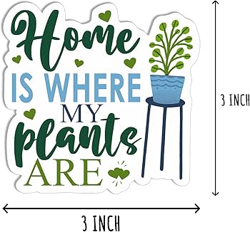 DISH// 2024 「GARDEN」 random sticker DISH// 2024 「GARDEN