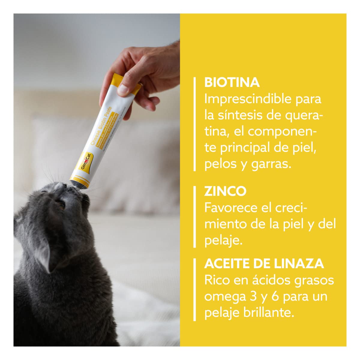GimCat Cheese Biotin, pasta de queso con biotina - Con queso aromático, zinc y aceite de linaza para pelaje, piel y garras - 1 tubo (1 x 200 g)