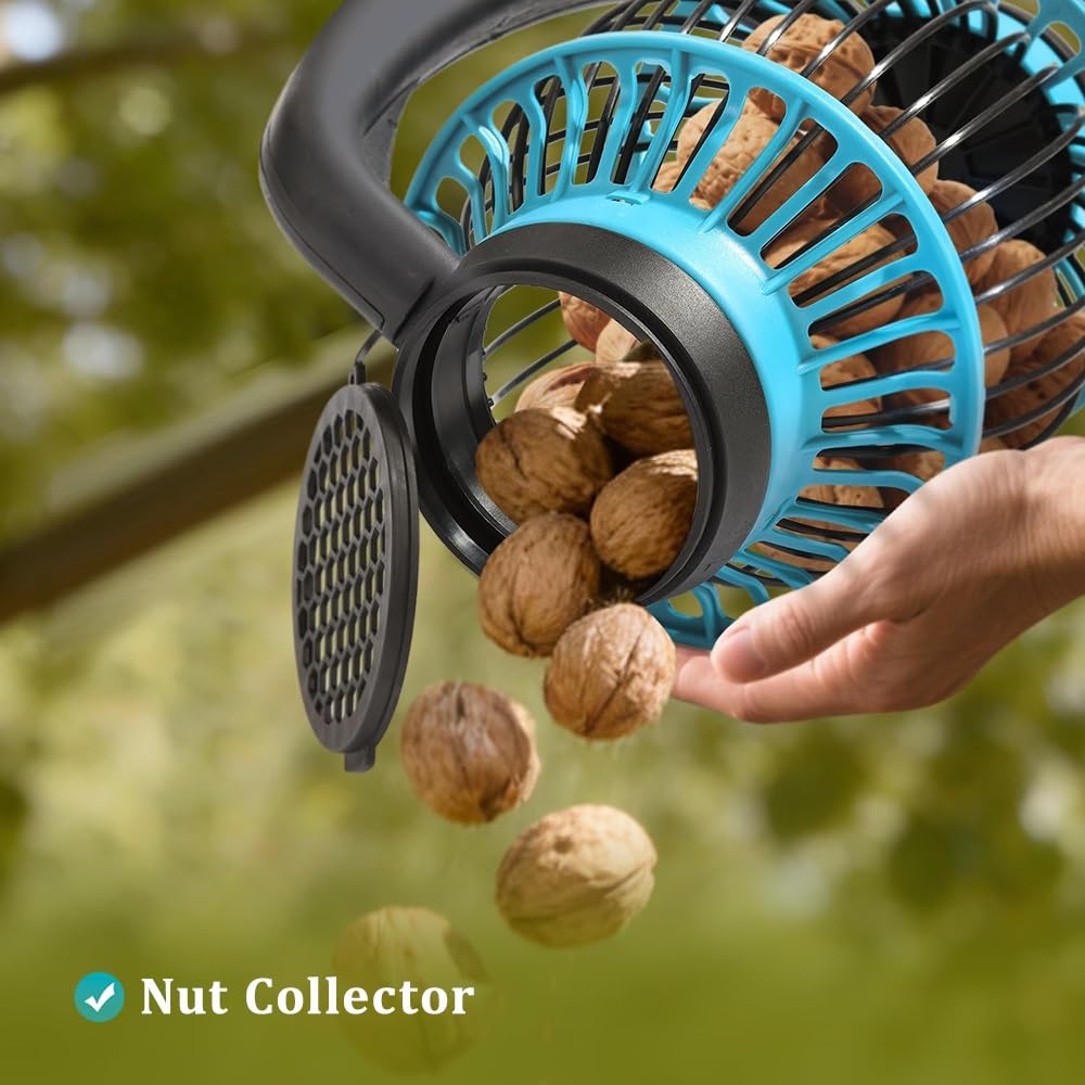 Recolector manual de frutos secos, bellota, castañas y frutas duras para jardín, parque y exteriores, cosecha rápida de nueces y castañas de nogal