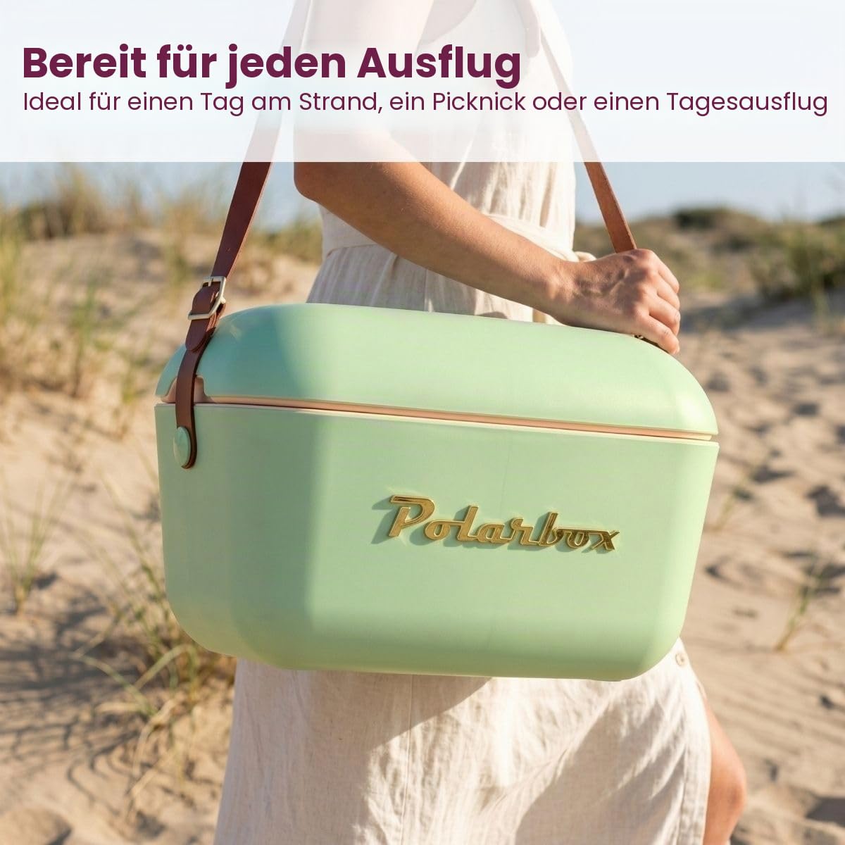 Kühlbox, 20 l, goldfarbene Details. POLARBOX