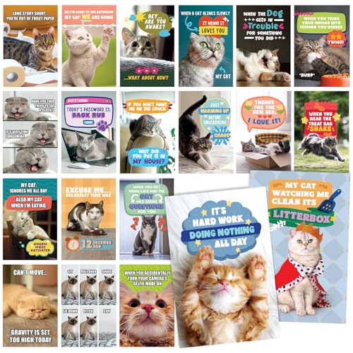 T MARIE 40 Funny Cat Meme Postcards - 4x6” Clean Humor Dad