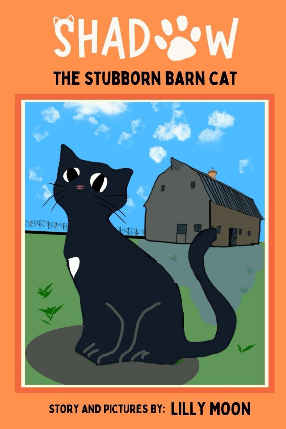 Shadow the Stubborn Barn Cat