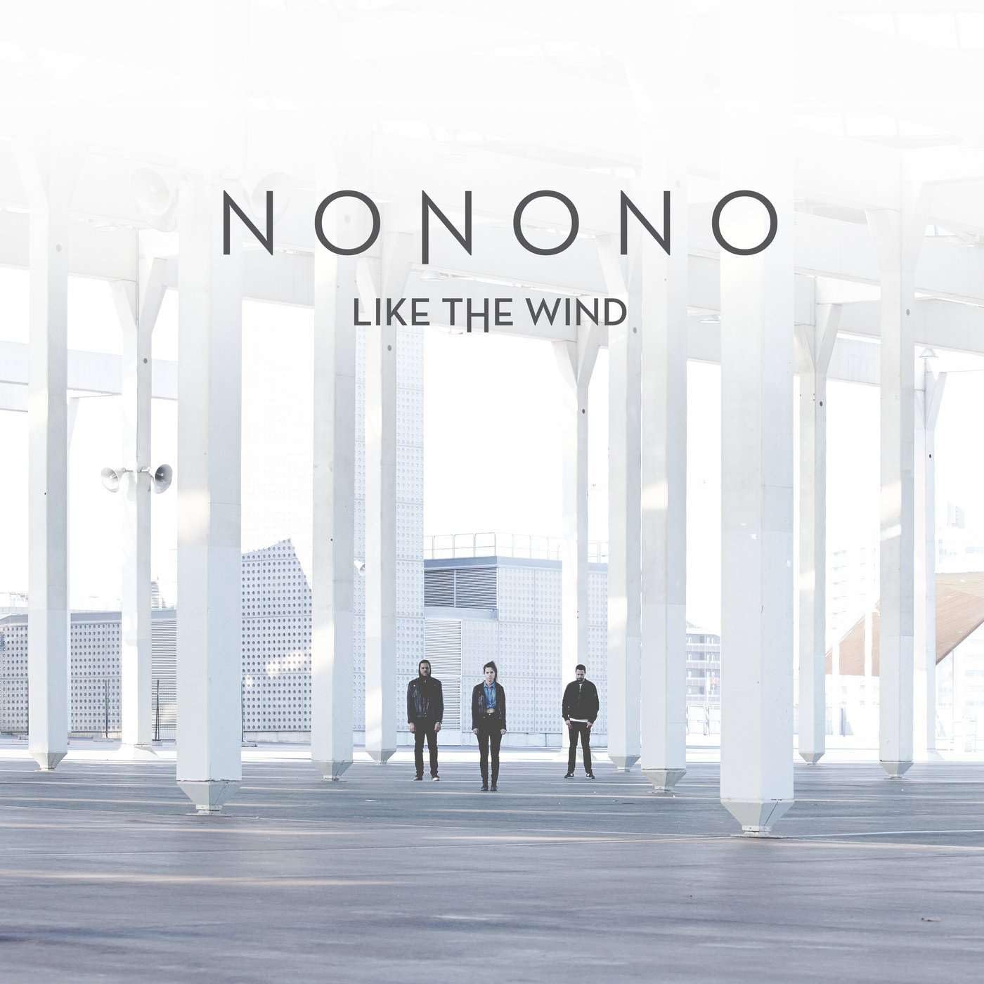Like The Wind [VINYL]