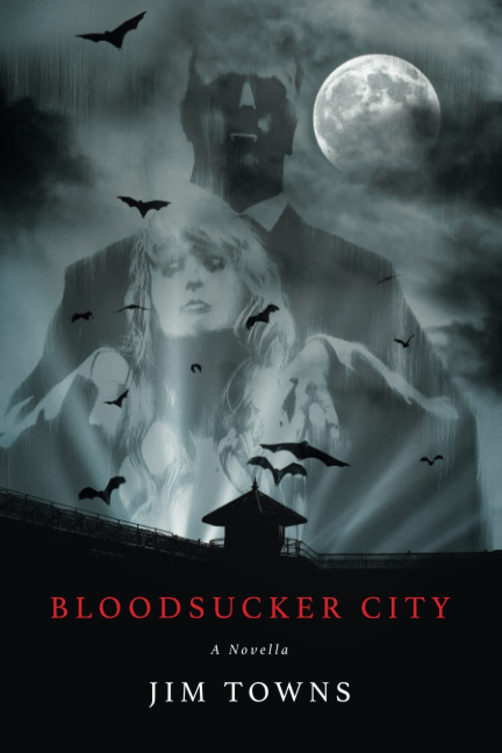 Cover of Bloodsucker City