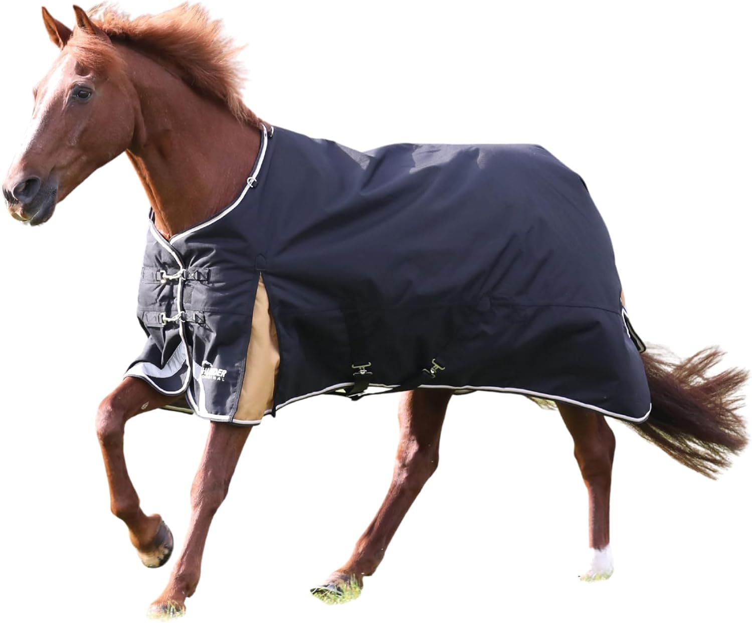 Shires Highlander Plus 200g Standard Neck Horse Blanket – Waterproof 200g Turnout Rug, Durable Breathable Winter Horse Sheet for Cold Weather