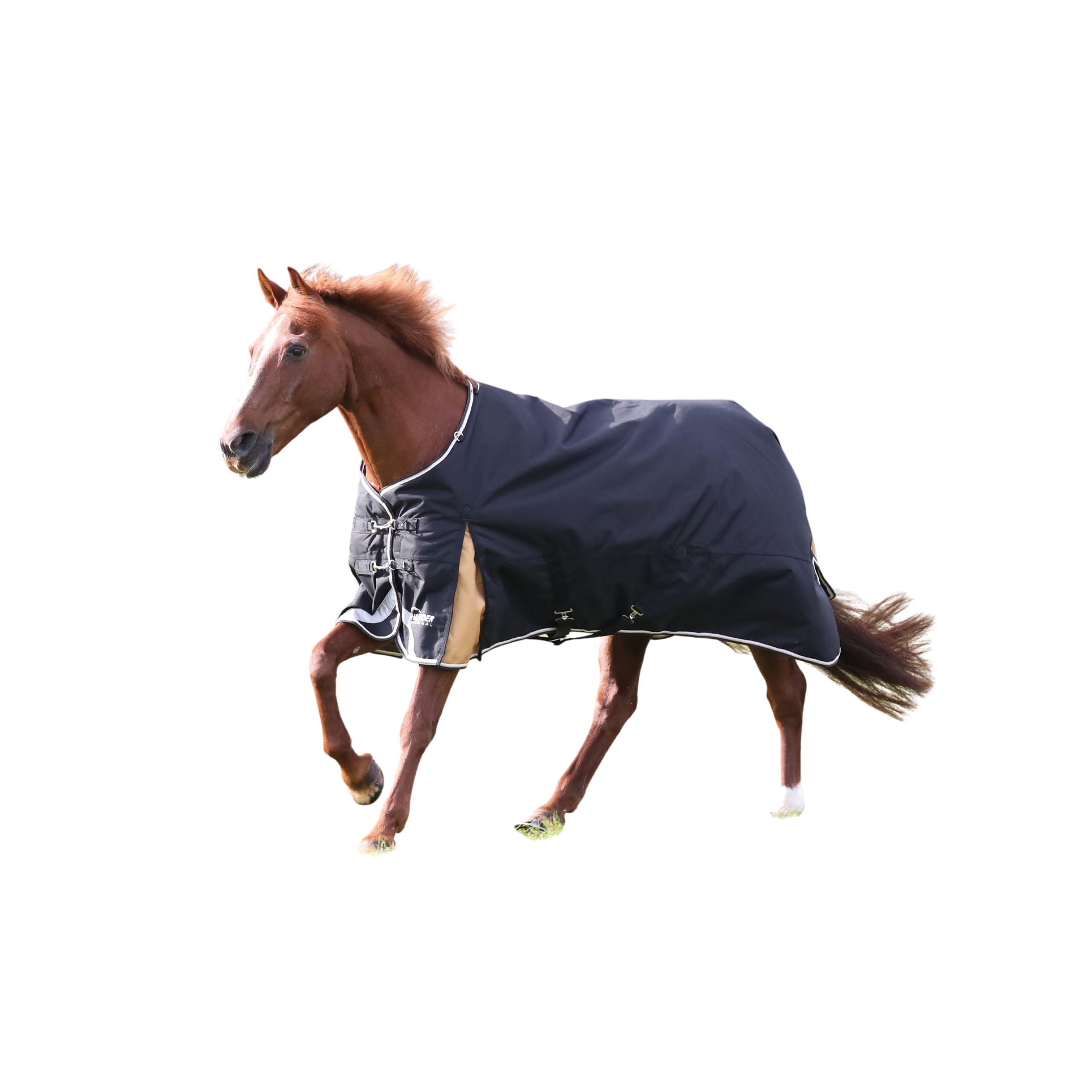 Highlander Plus 200 Standard Neck (72", Black/Gold)