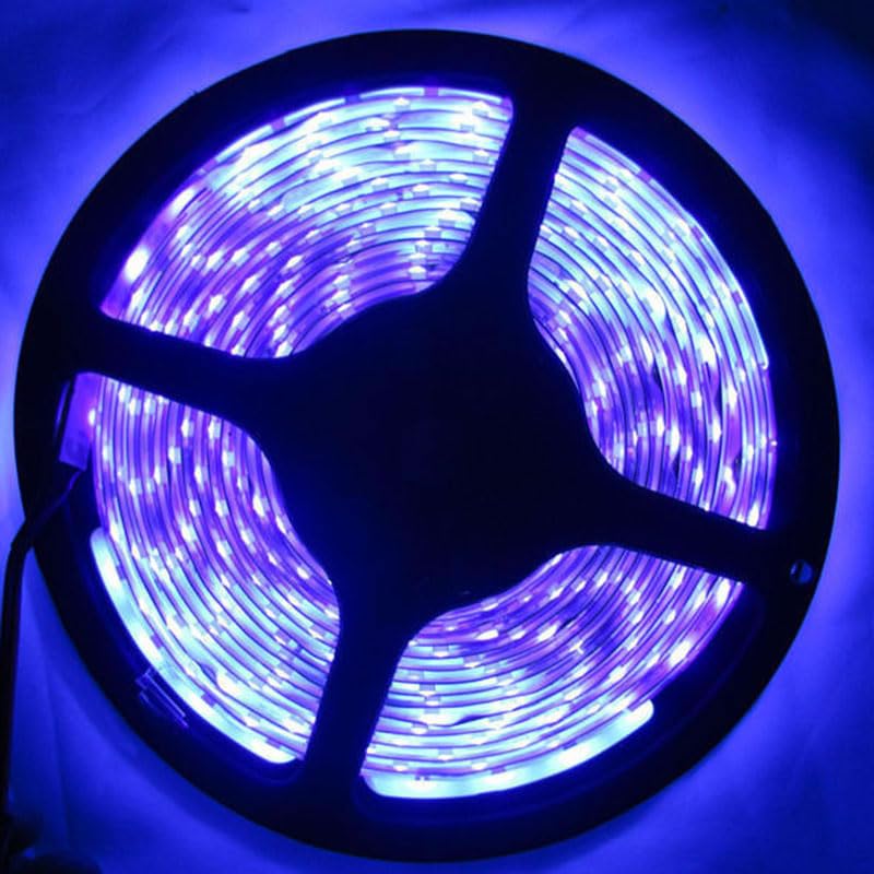 ledbox Tira LED UV Ultravioleta SMD3528, DC12V, 5m (120 Led/m) - IP65, Luz ultravioleta
