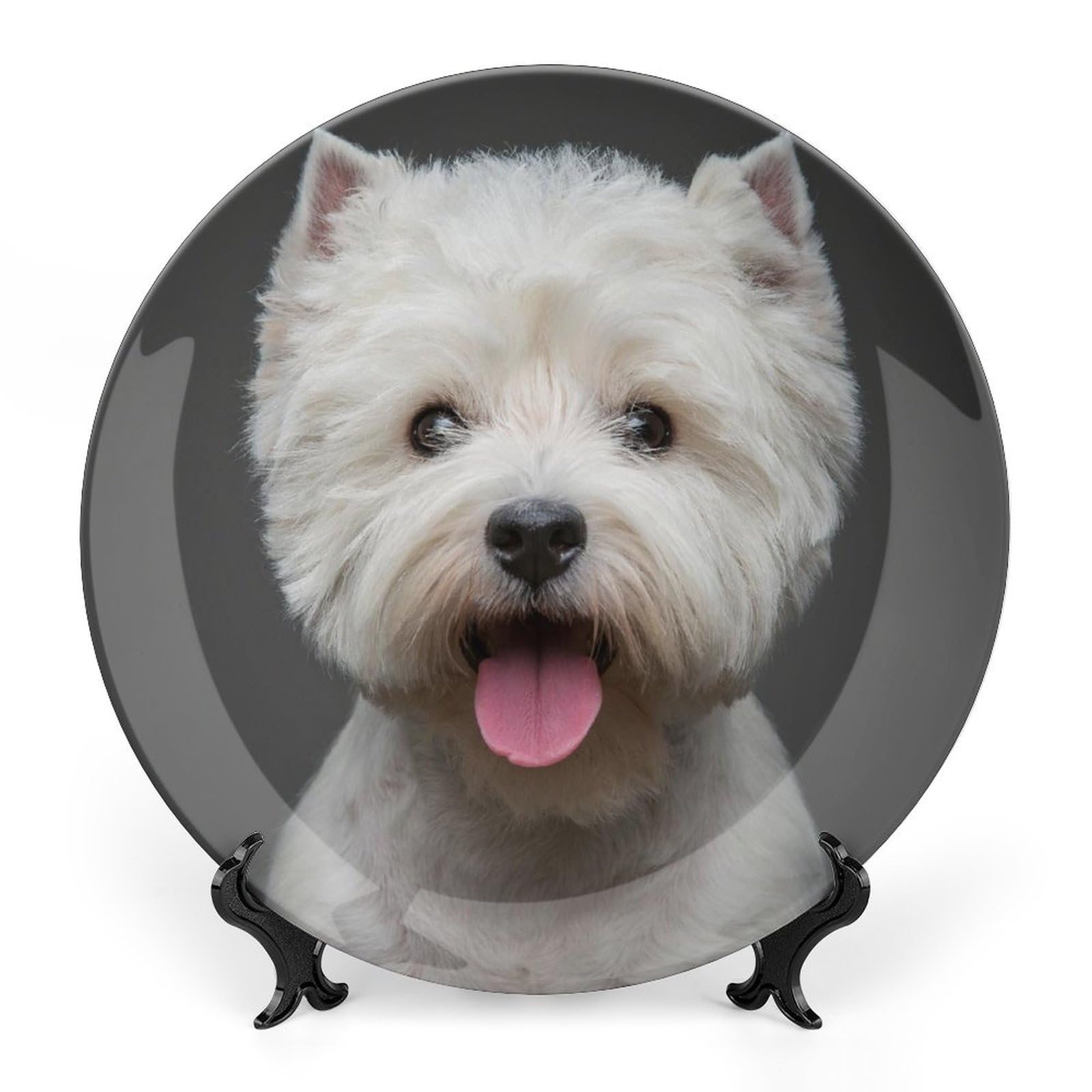 Platos de porcelana china de perro terrier con soporte de pared elegante 8