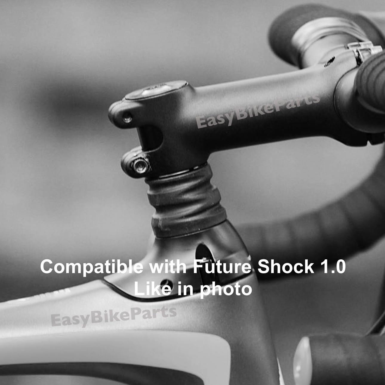 Amazon.com: Easybikeparts Replacement Headset Bearings for Future