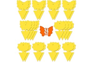 Bug Zooka Bug Catcher Fungus Gnat Traps and Fruit Fly Sticky Traps