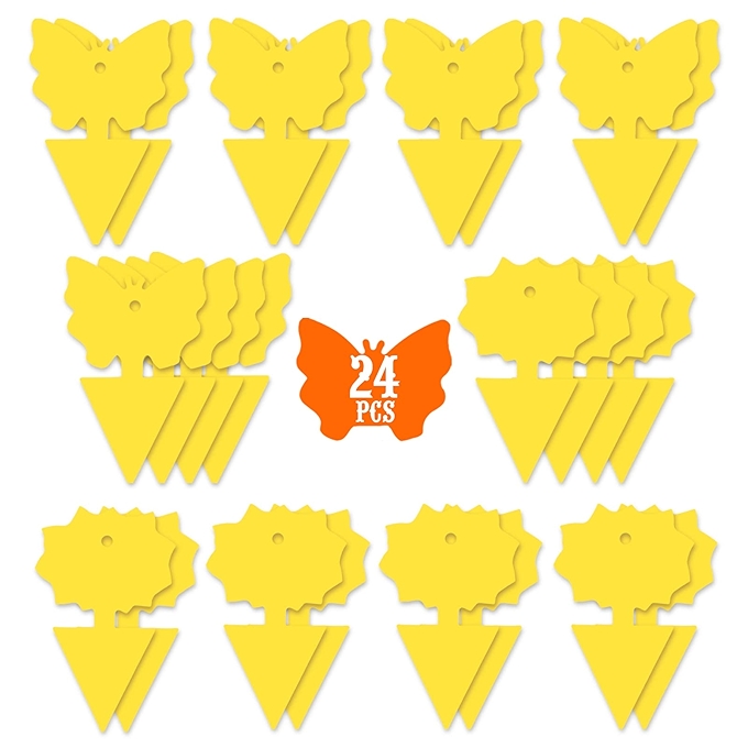 USKICH水果苍蝇粘捕陷阱骰子