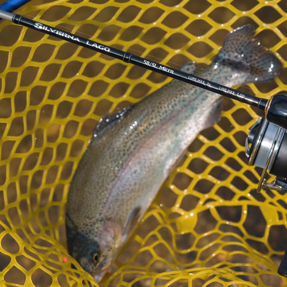 Amazon | テイルウォーク(tailwalk) シルバーナ ラゴ (SILVERNA LAGO