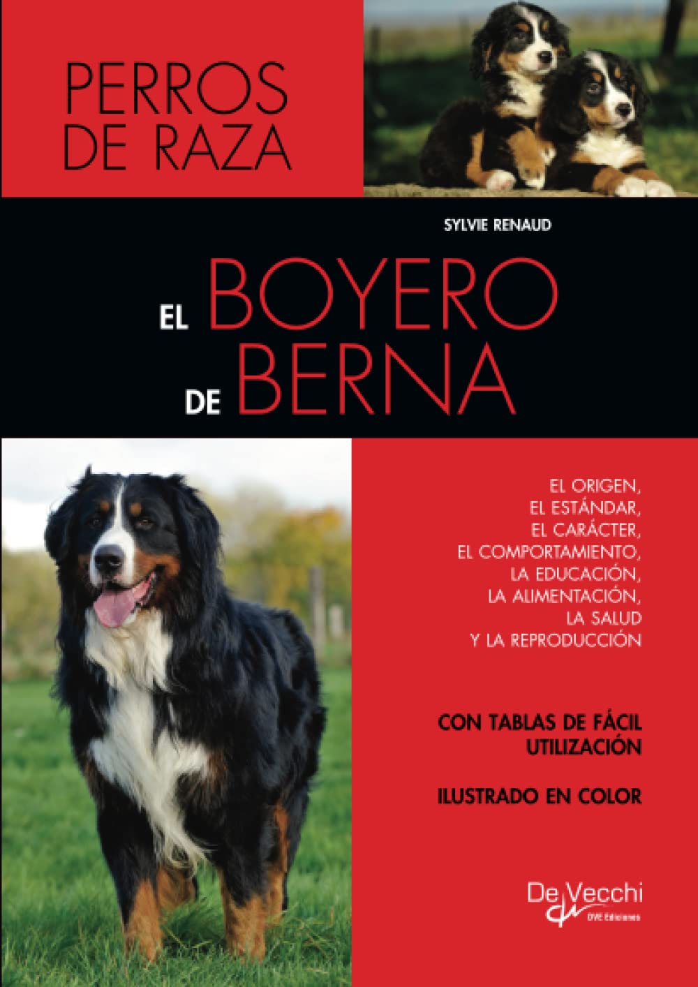 El boyero de Berna (Spanish Edition)