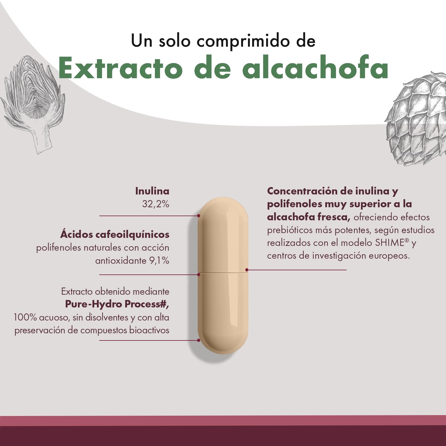 Granatum Plus - Extracto de Alcachofa con Cynamed - Suplemento Alimenticio - Detox Hepático y Digestivo - Bienestar Metabólico - Diurético Natural - Producido en España - 3 Caja 60 Cápsulas