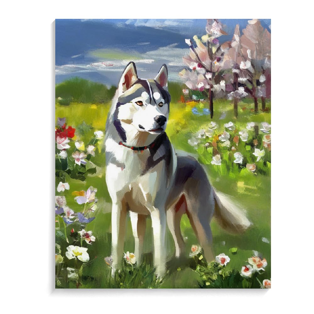 Paint by Numbers Siberian Husky Dog DIY Acrylic Painting Kit with Brushes Pigment Oil Painting Artwork Adults Beginners Wall Decor 12x16inch(30x40cm) Frameless