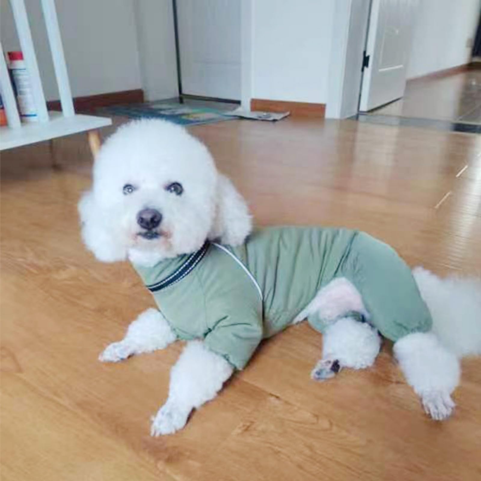 Chaqueta cálida para perro, traje de nieve de invierno para perros, abrigo de forro polar para clima frío con anillo en D, perfecto para perros grandes, medianos y pequeños, ropa cómoda y duradera