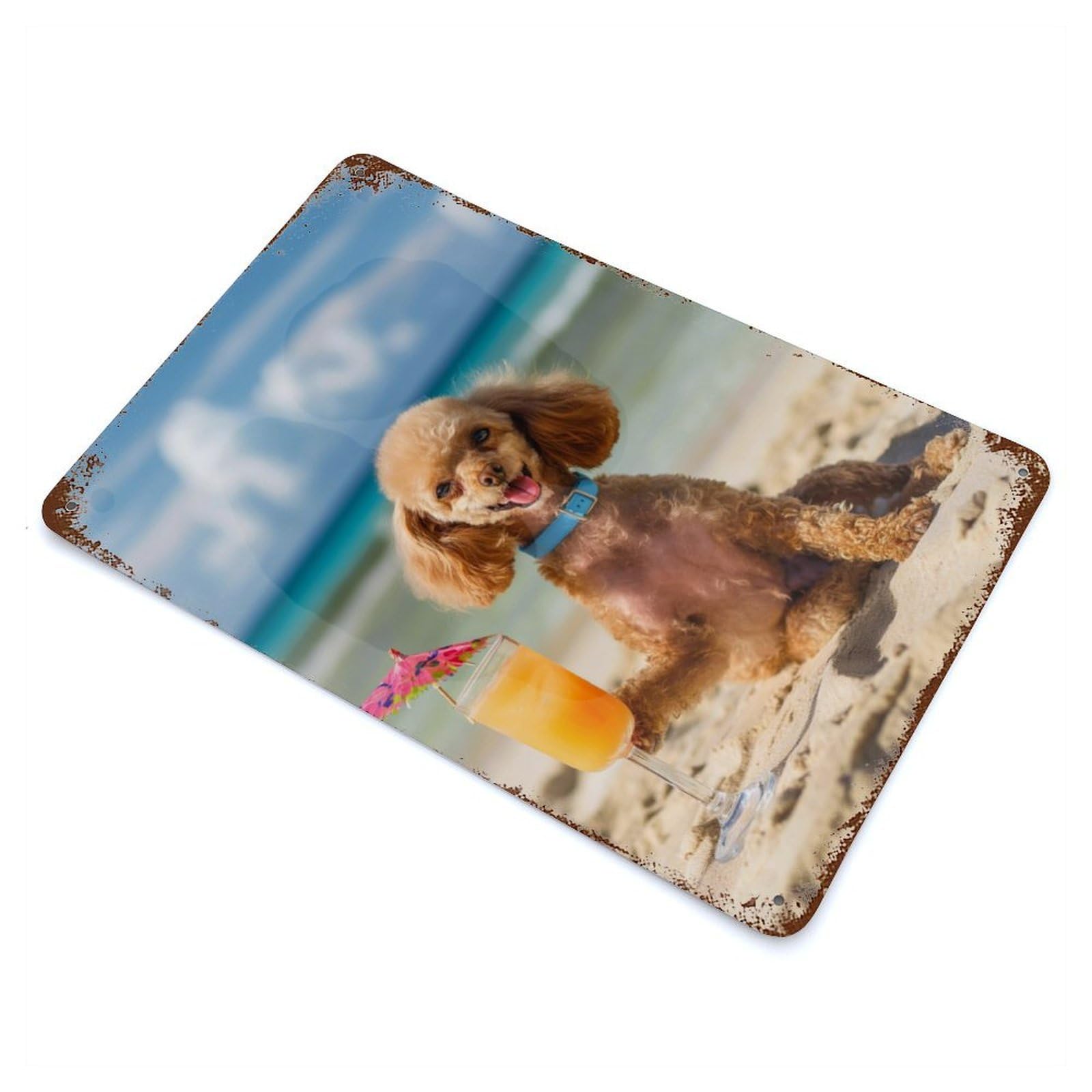 Funny Poodle Cocktail Sun Rustic Tin Plaque 11.8"x7.9", Ideal for Shed, Workshop And Garage Wall Decor