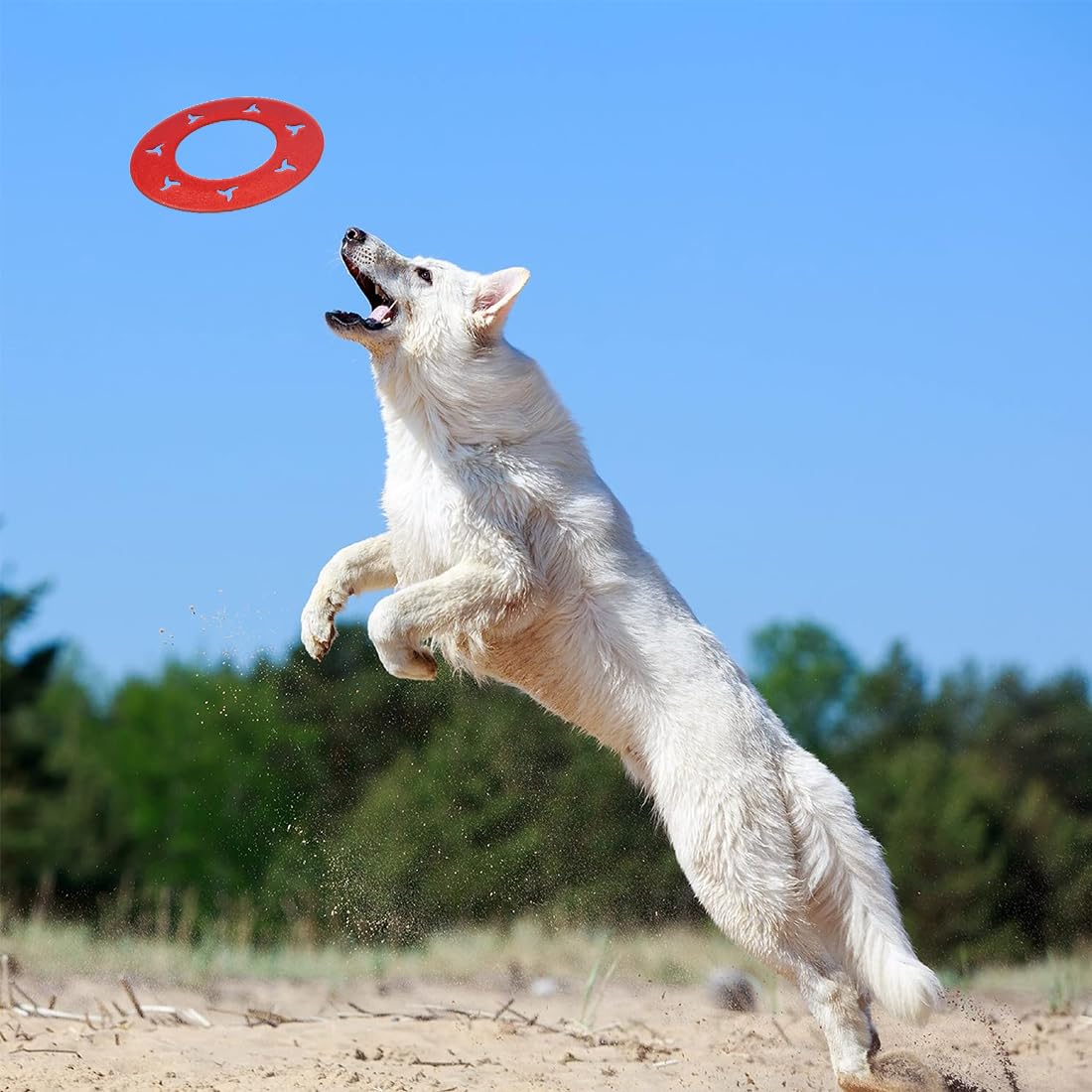 Frisbee Per Cani In Gomma Termoplastica - Diametro 21.6 Cm, Rosso, Per Giochi All'Aperto - Foto 8
