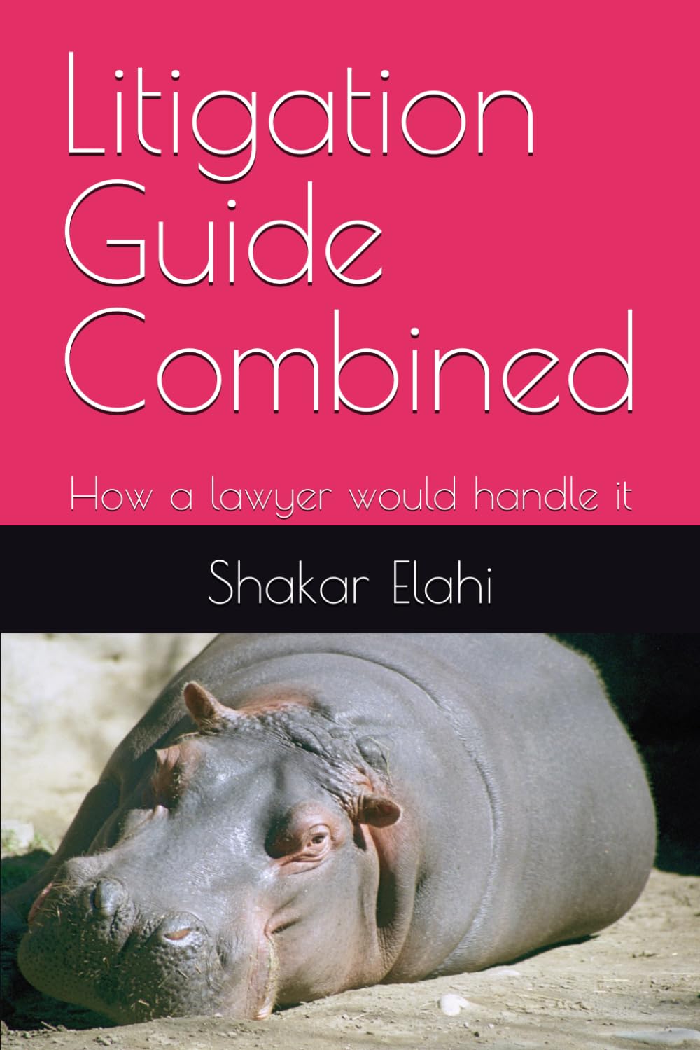 Litigation Guide Combined: How a lawyer would handle it (Legal Series)
