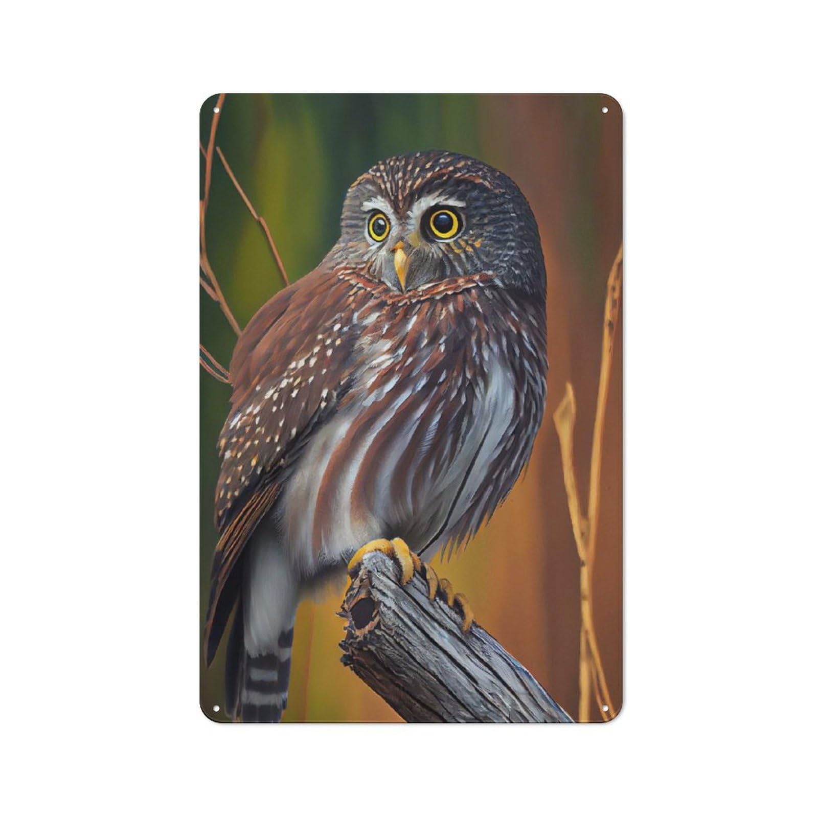 Junmoney Northern Pygmy Owl Vintage Metal Wall Decor 30X20cm, Decorative Metal Plaque For Coffee Bar, Small Shop Or Dining Room