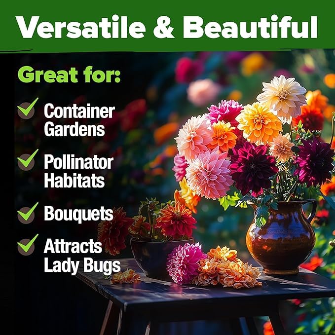 Image of HOME GROWN USA Premium Zinnia Dahlia Seeds Pack for 2026,1048 Non-GMO Flower Seeds, Vibrant Zinnia Elegans for Planting Pollinator Gardens, Borders & Containers, Easy-to-Grow Outdoor Blooms