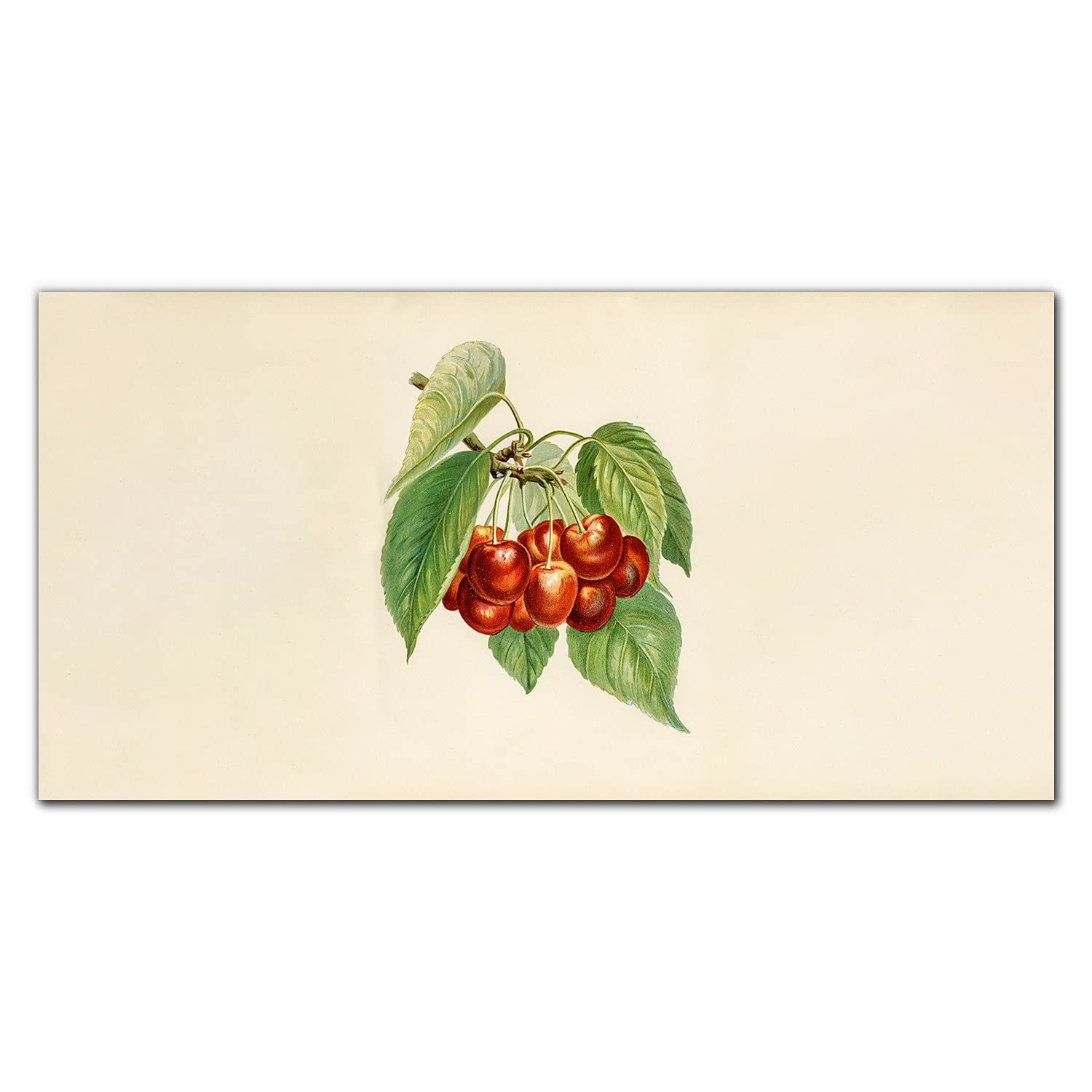 Dosseret de cuisine anti-taches 140x70 cm en verre trempé imprimé fruits et feuilles