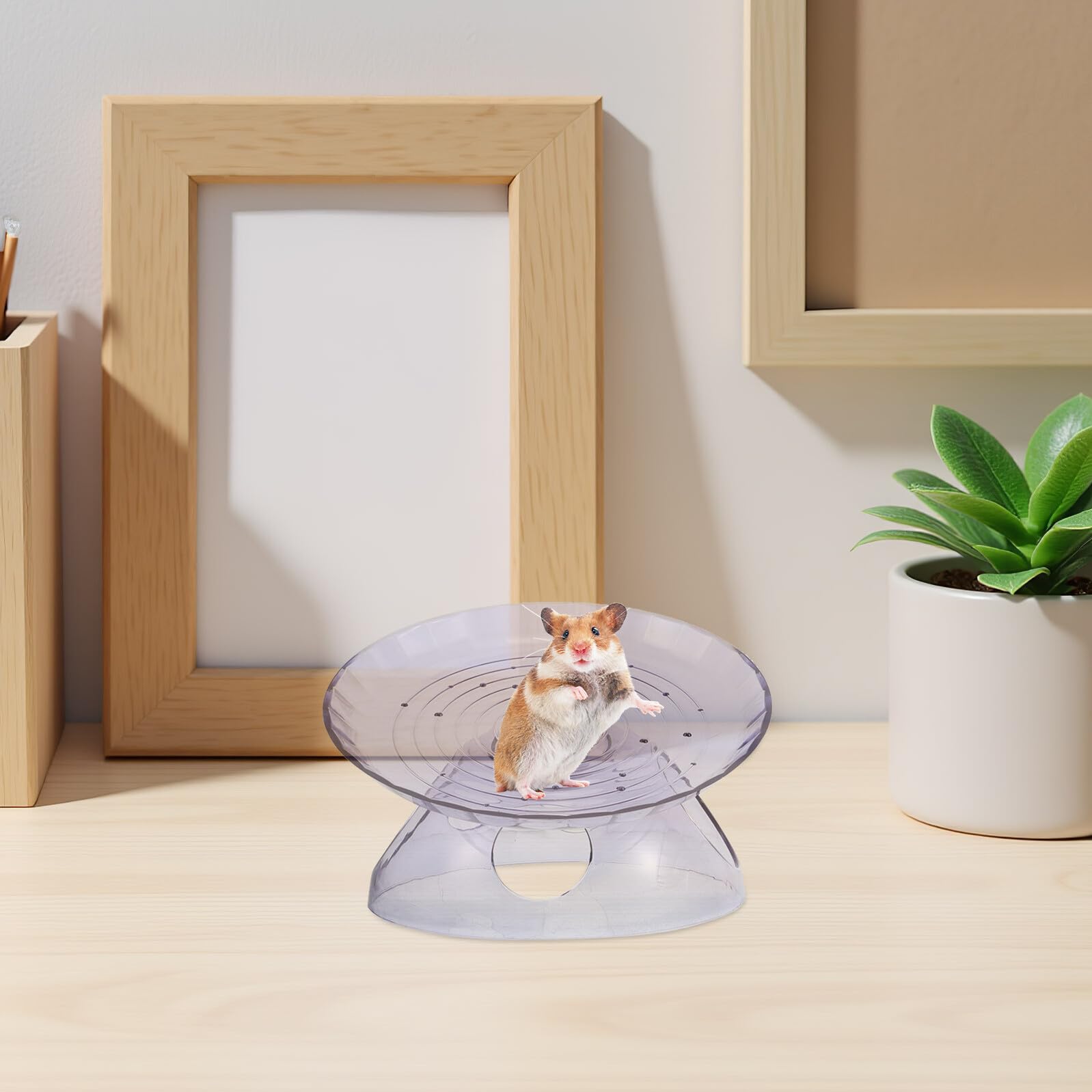 Ruedas de Ejercicio Silenciosas para Hámster con Base, Plástico Resistente, Rueda Plana con Casa Refugio Integrada, Transparente Azul y Rosa, Juego 3 Piezas para Mascotas