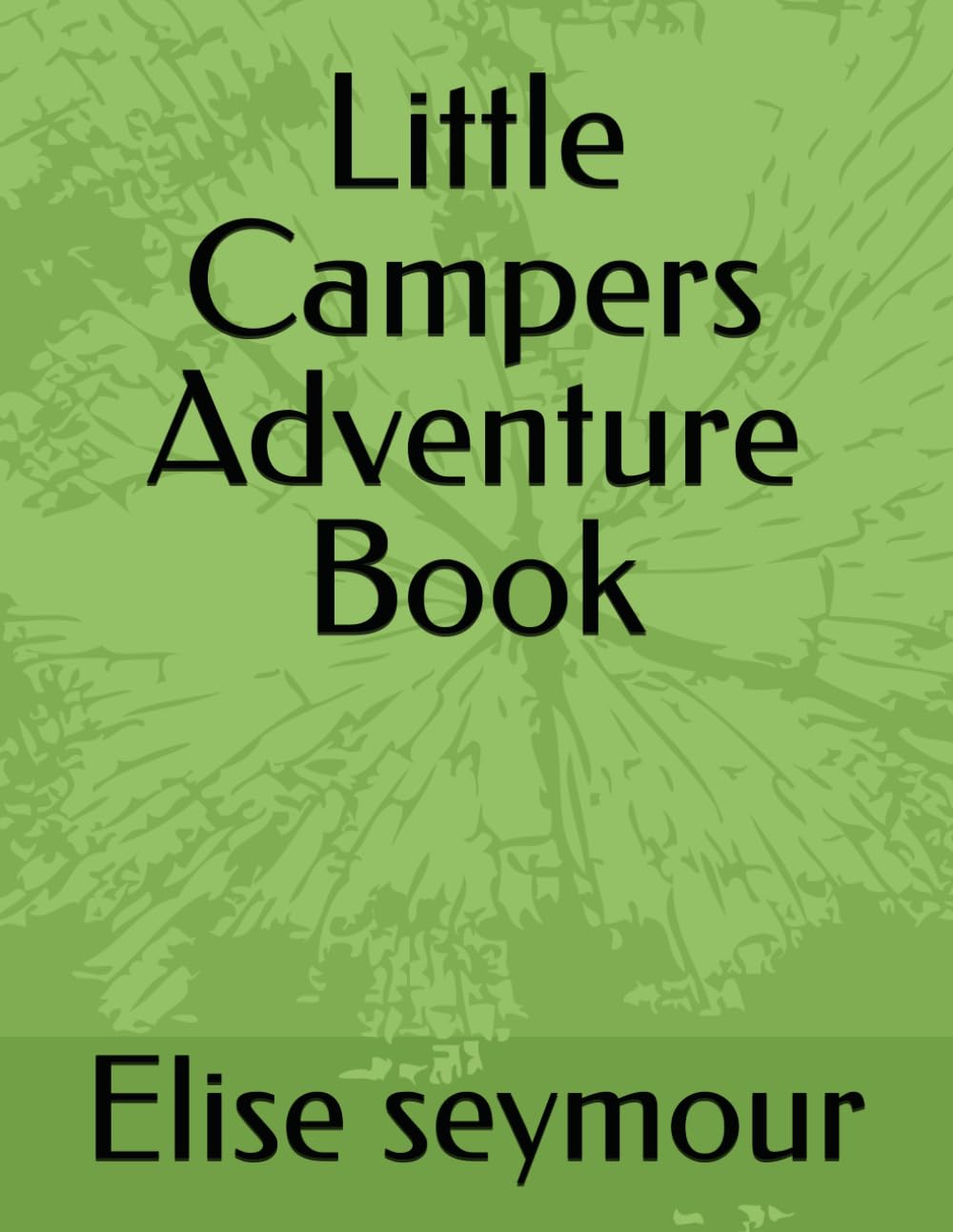 Little Campers Adventure Book