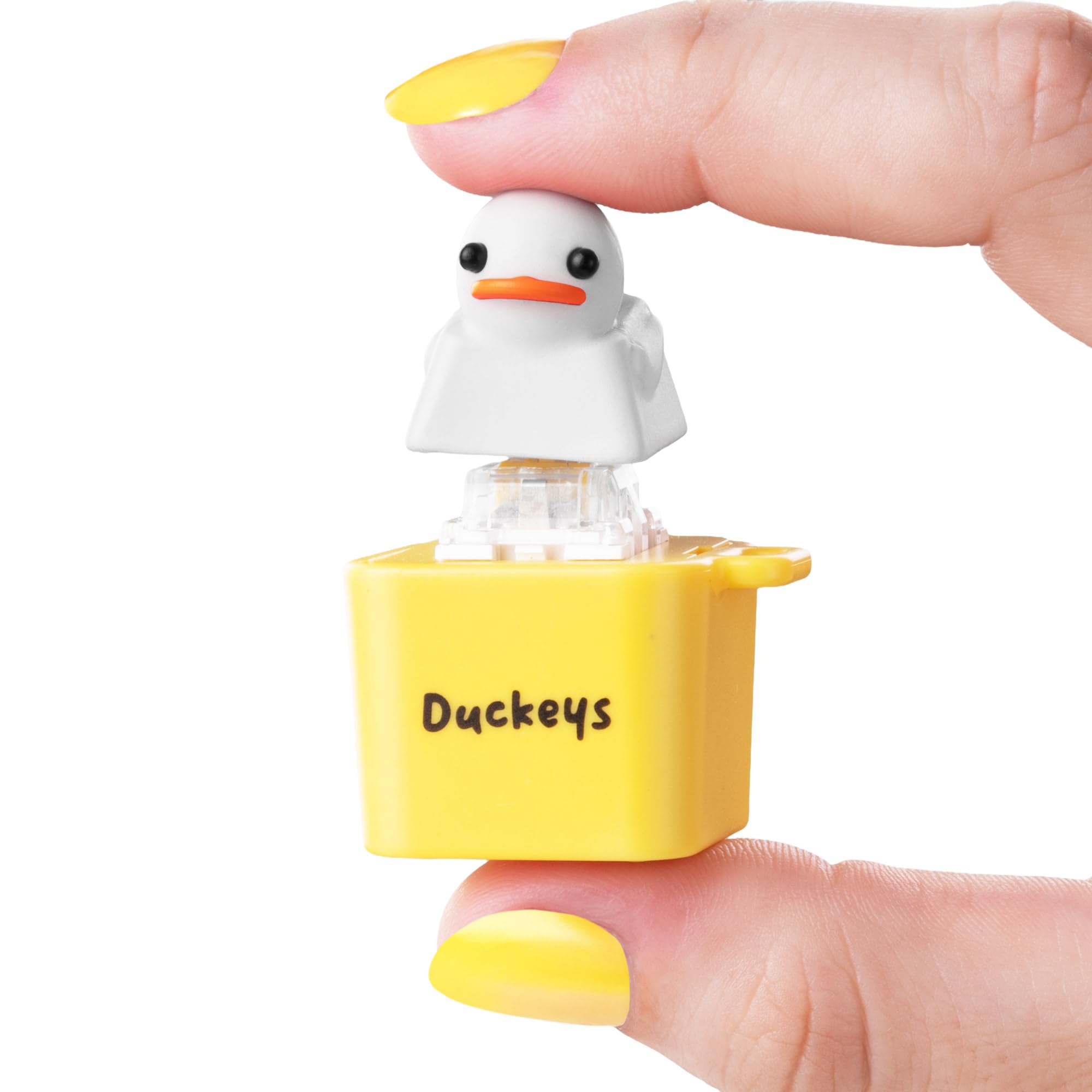 Fidget Toy - Quacking Sound Stress Relief Toy for Adults and Kids - Ideal for Anxiety Relief and Focus Enhancement