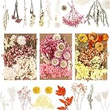 tonyg-p Natürliche Getrocknete Blumen, 3pcs Echte Getrocknete Gepresste Blumen Set Diy Gepresste Blumen Bunte Getrocknete Blumen Trockenblumen für Kunsthandwerk Scrapbooking DIY Kerzen Nagel